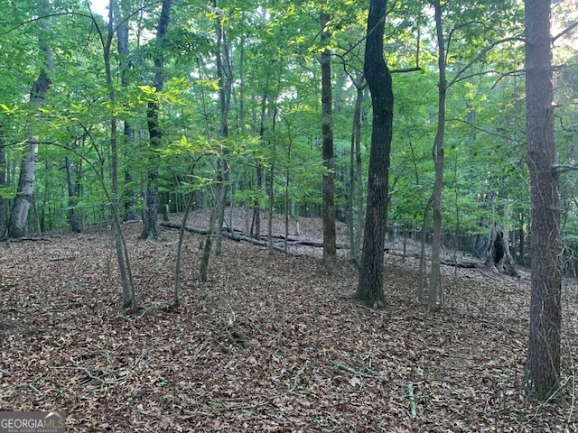 0 Harold Whelchel Road