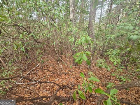 35 Vienna Ring Helen GA 30545