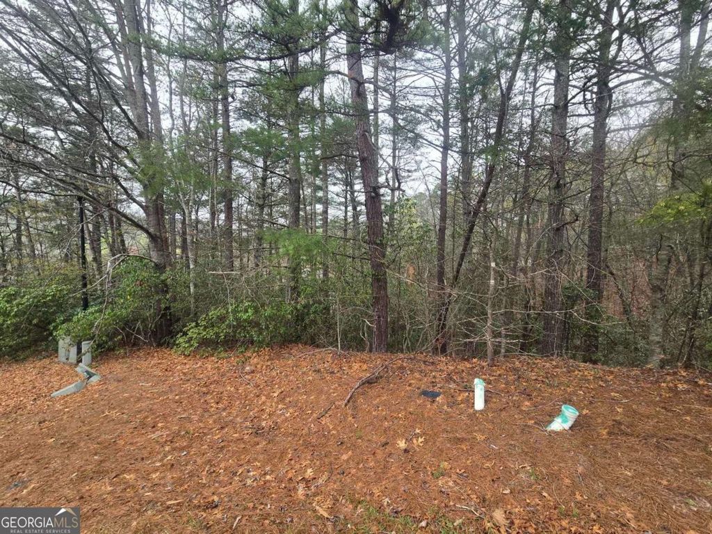 Photo of 35 Vienna Ring, Helen, GA 30545 (MLS # 10726055)