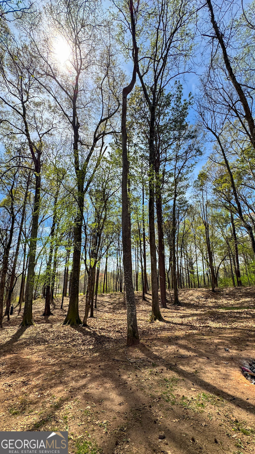 5035 Old West Point RD