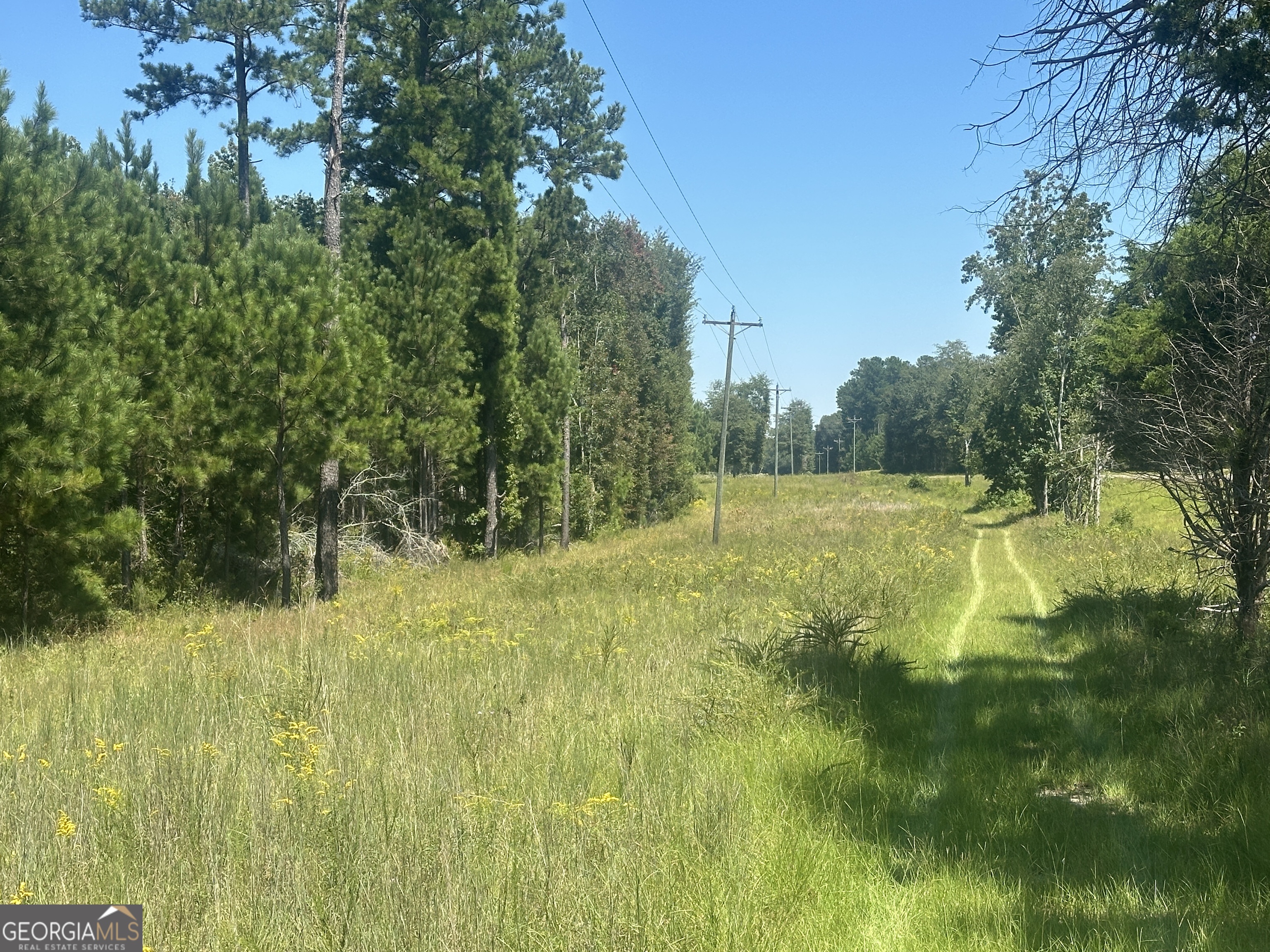 1000 Millen Hiltonia RD