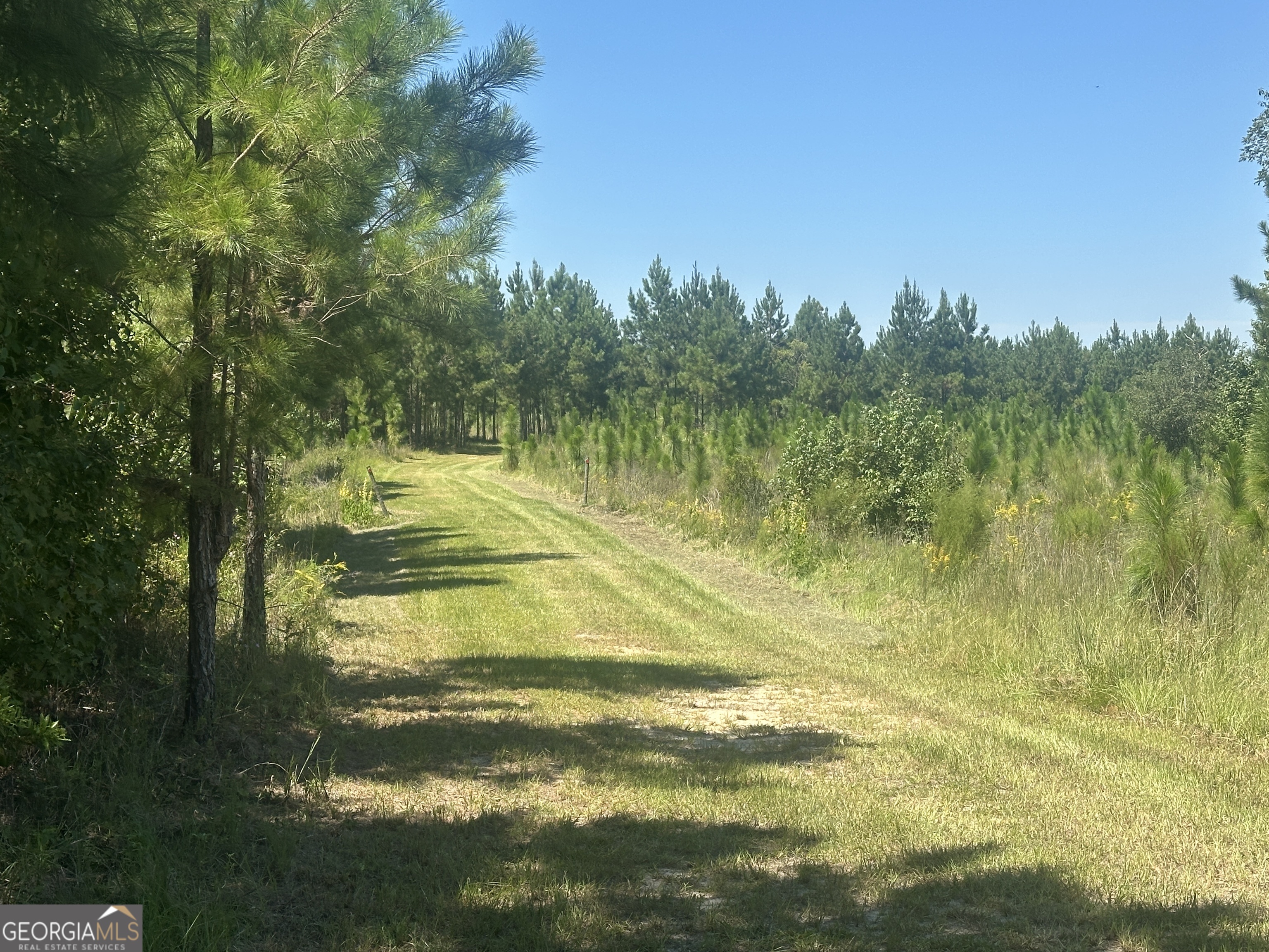 1000 Millen Hiltonia RD