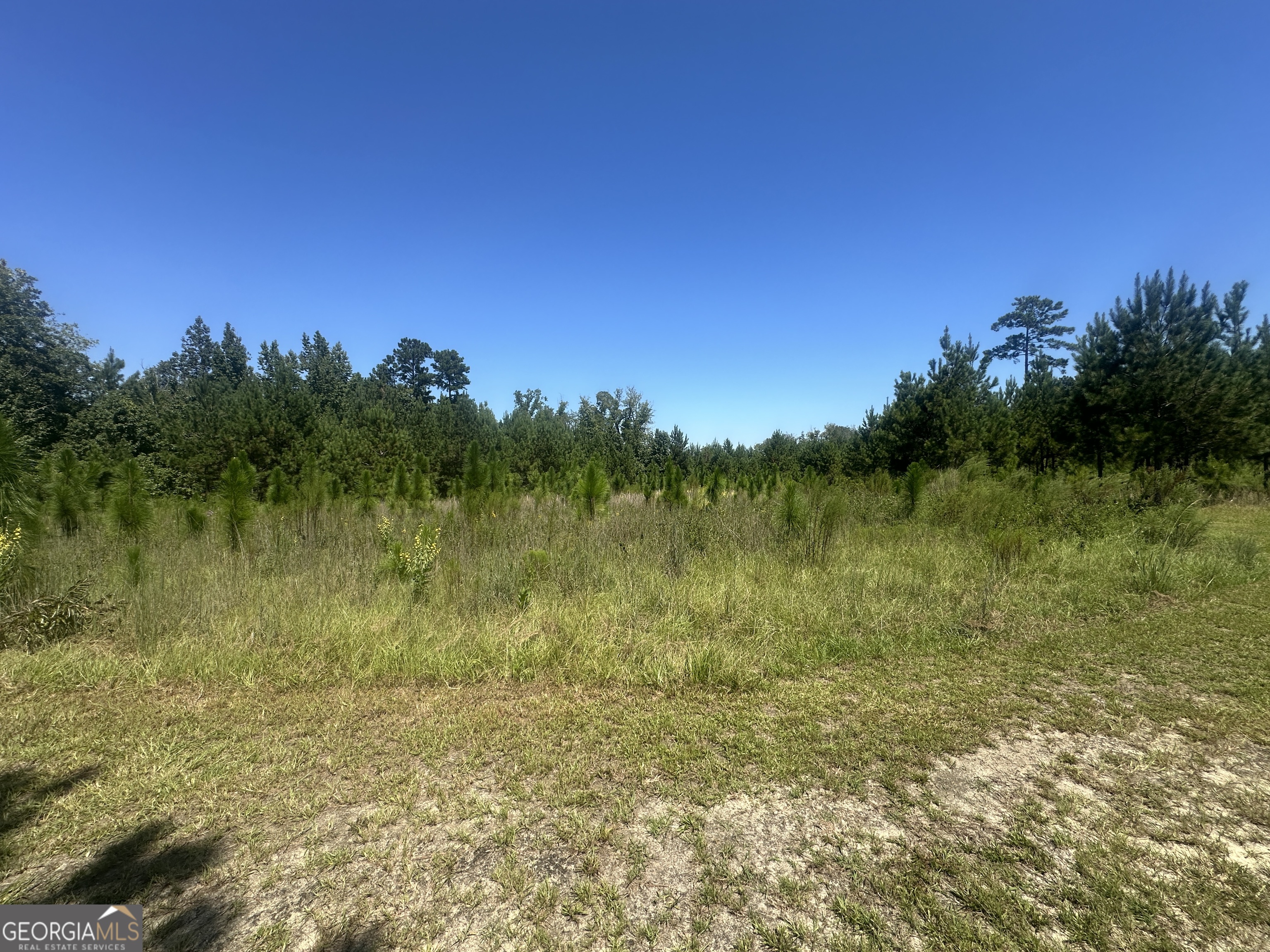 1000 Millen Hiltonia RD