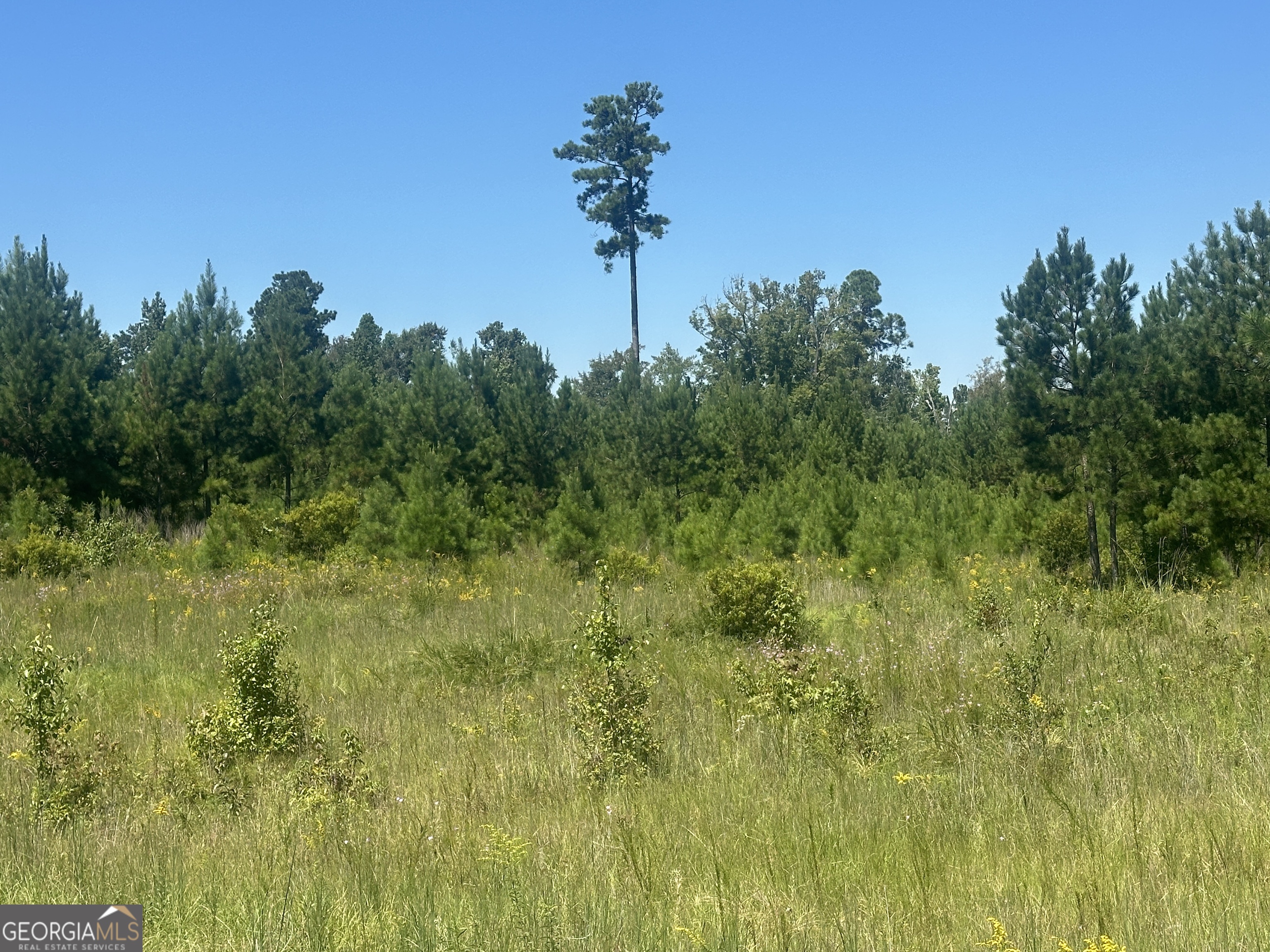 1000 Millen Hiltonia RD