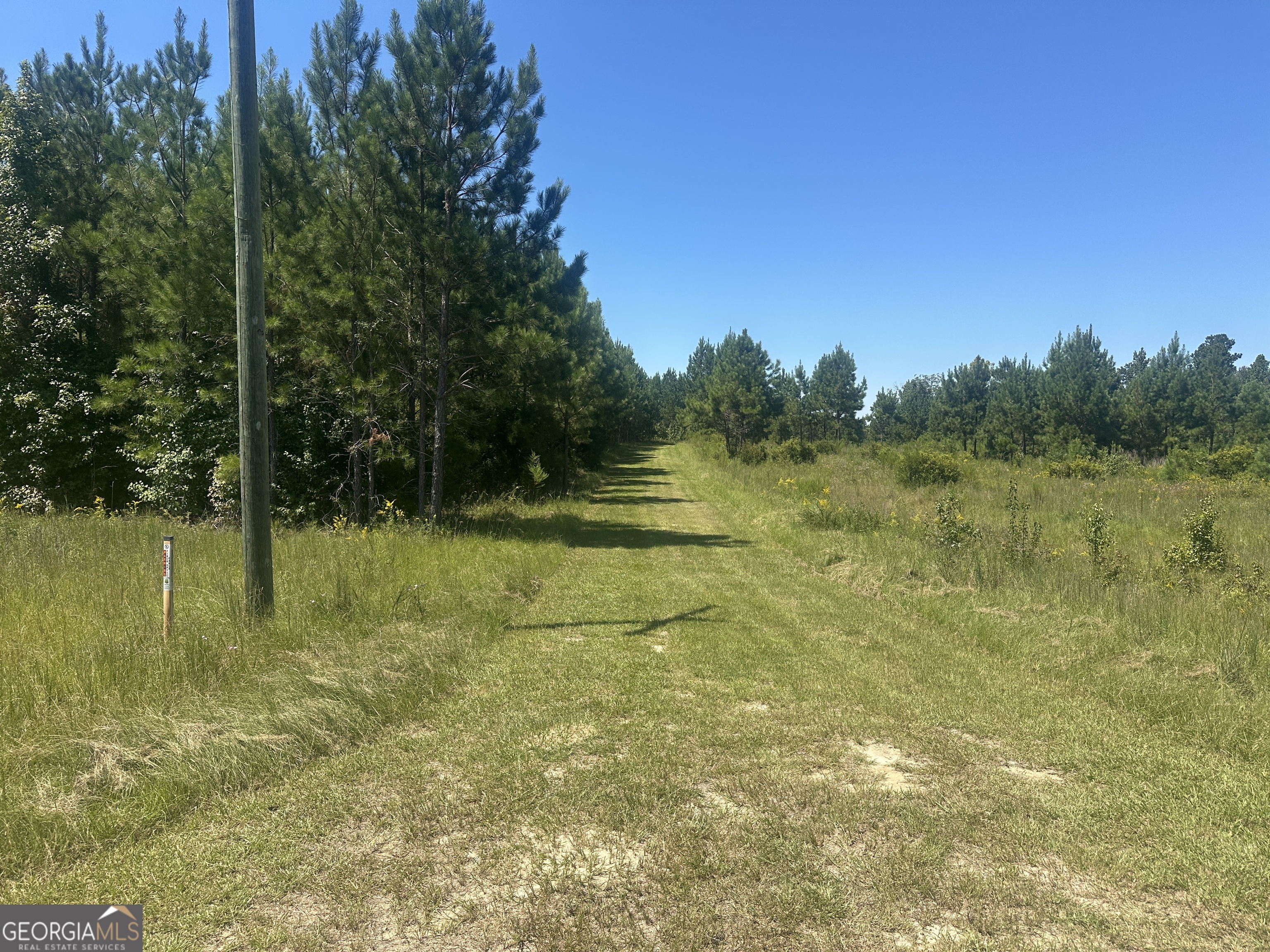 Nice private acreage in North West Screven County would make a good hunting property or homesite. The tract is a mixture of natural woods and planted Longleaf pines. The land is mostly flat with a small low area on the Northern property line. Paved road frontage on Millen-Hiltonia Road and a good internal road system makes the entire property accessible. Additional acreage available.