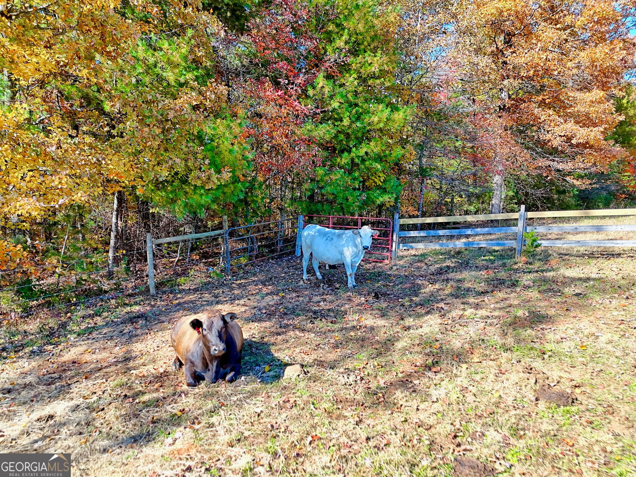 Mountain Rest, South Carolina 29664, United States, 3 Bedrooms Bedrooms, ,3 BathroomsBathrooms,Residential,Active,241140