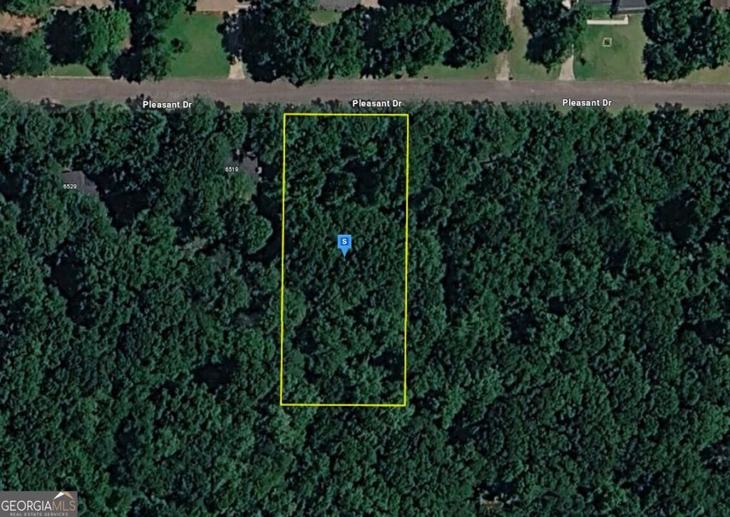 Photo of 6509 Pleasant Dr, Winston, GA 30187 (MLS # 10723641)