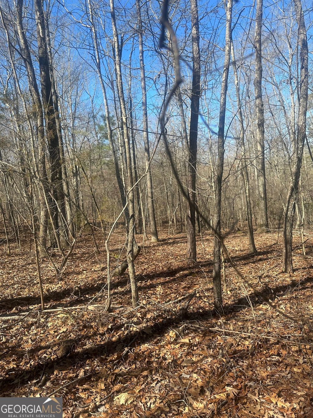 Photo of 0 Summit View Road, Jackson, GA 30233 (MLS # 10707622)