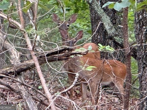 Photo of 26 Whippoorwill Way, Alto, GA 30510 (MLS # 10563819)