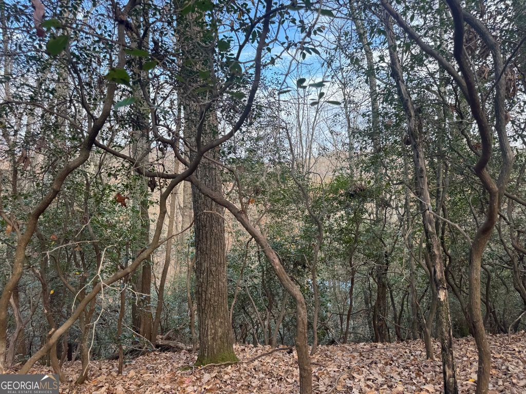 Photo of 0 Geneva Place, Sautee Nachoochee, GA 30571 (MLS # 10648186)