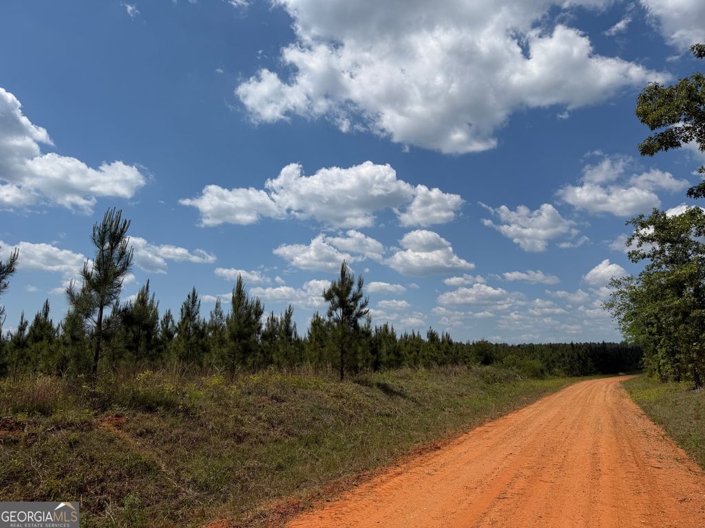 Photo of 8 George Milling Rd, Cuthbert, GA 39840 (MLS # 10758182)