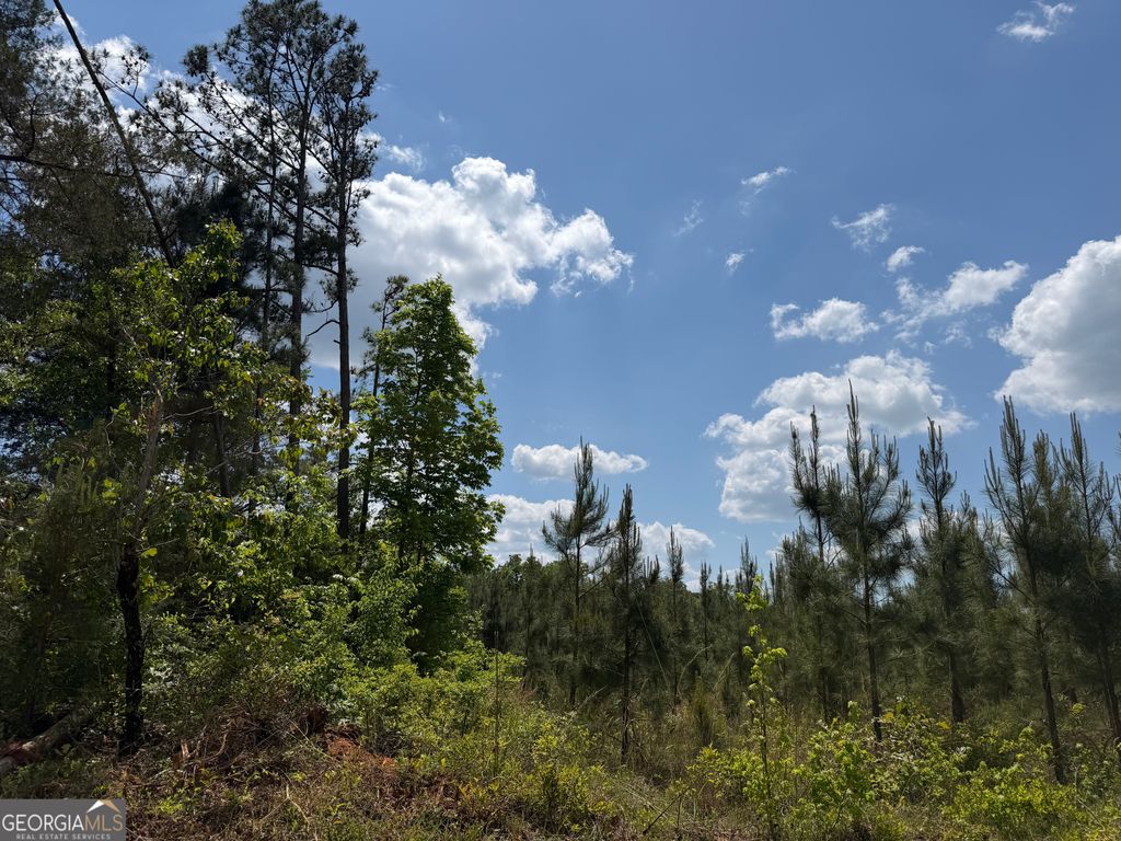 Photo of 8 George Milling Rd, Cuthbert, GA 39840 (MLS # 10758182)