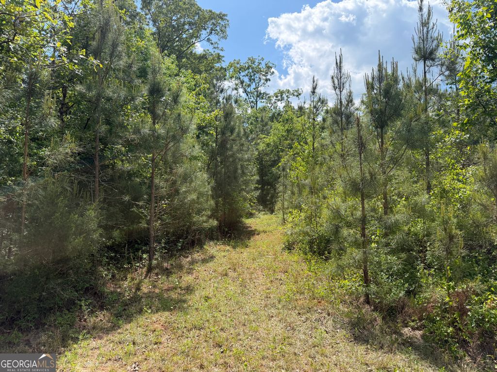 Photo of 8 George Milling Rd, Cuthbert, GA 39840 (MLS # 10758182)