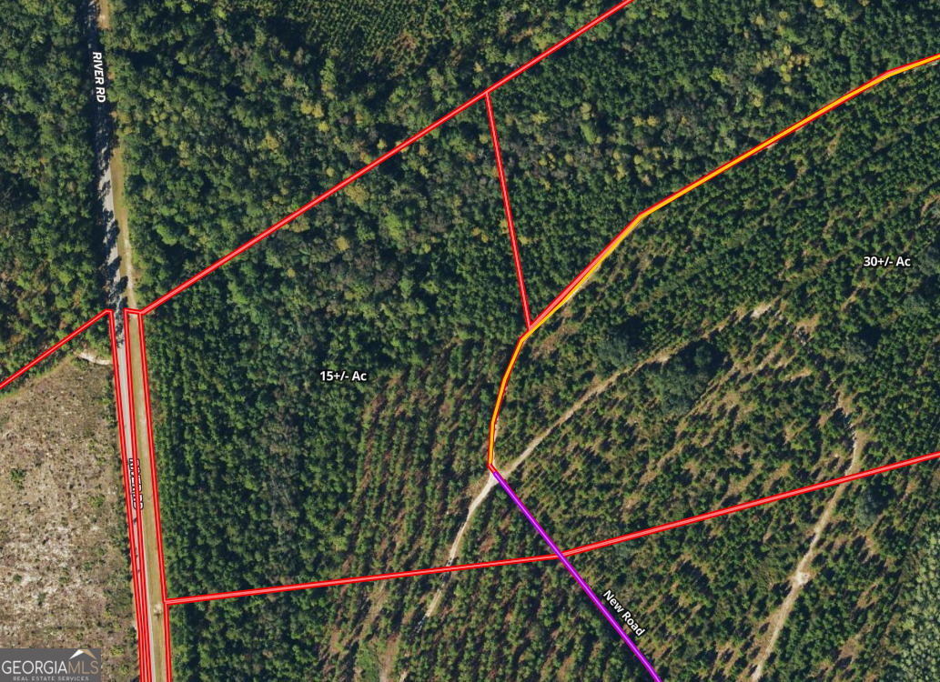 15+/- Acre Recreational Homesite located just west of Folkston, GA in the River Road Area of Eastern Charlton County, GA. This property is an ideal location for a Family Estate, Mini-Farm or Weekend Getaway. Un-Restricted with no HOA or Restrictions. Excellent Deer, Turkey and Hog Hunting. Paved Road Frontage with power available at the road. Plenty of room for Horse and ATVs. Easy drive to Jacksonville, FL - Kings Bay Naval Base in St.Marys or Brusnwick. The Property is a 5 minute drive to a Public Boat Ramp on the Satilla River and less than an hour to the Beach. The Property is also less than a hour to the Jacksonville International Airport & River City Mall. The Property is 30 Minutes to Kingsland and 45 Minutes to St.Marys / Naval Station Kings Bay. 50 Minutes to Brunswick/ FLETC/ St. Simons & Sea Island, GA. 1Hr 45 Min to St. Augustine, FL. 2 Hours to Daytona and 3 hours to Orlando, Fl. Land for Sale in Charlton County, GA. Georgia Timberland for Sale.
