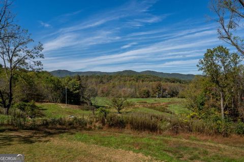 Photo of 7590 Mobile Road, Blue Ridge, GA 30513 (MLS # 10729737)