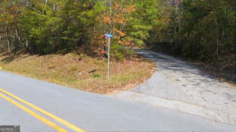 201 Spookhaven LN Clarkesville GA 30523