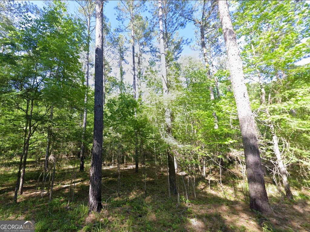 Photo of 0 Lambert Lane, Sylvester, GA 31791 (MLS # 10696640)