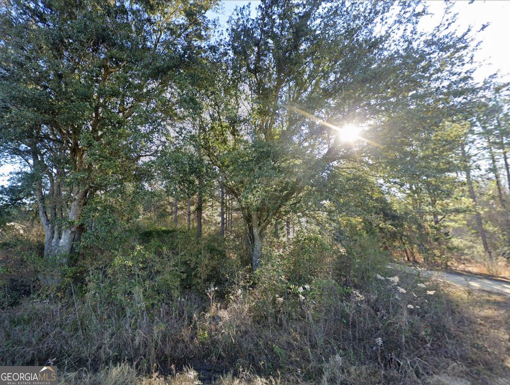 Photo of 0 Lambert Lane, Sylvester, GA 31791 (MLS # 10696640)