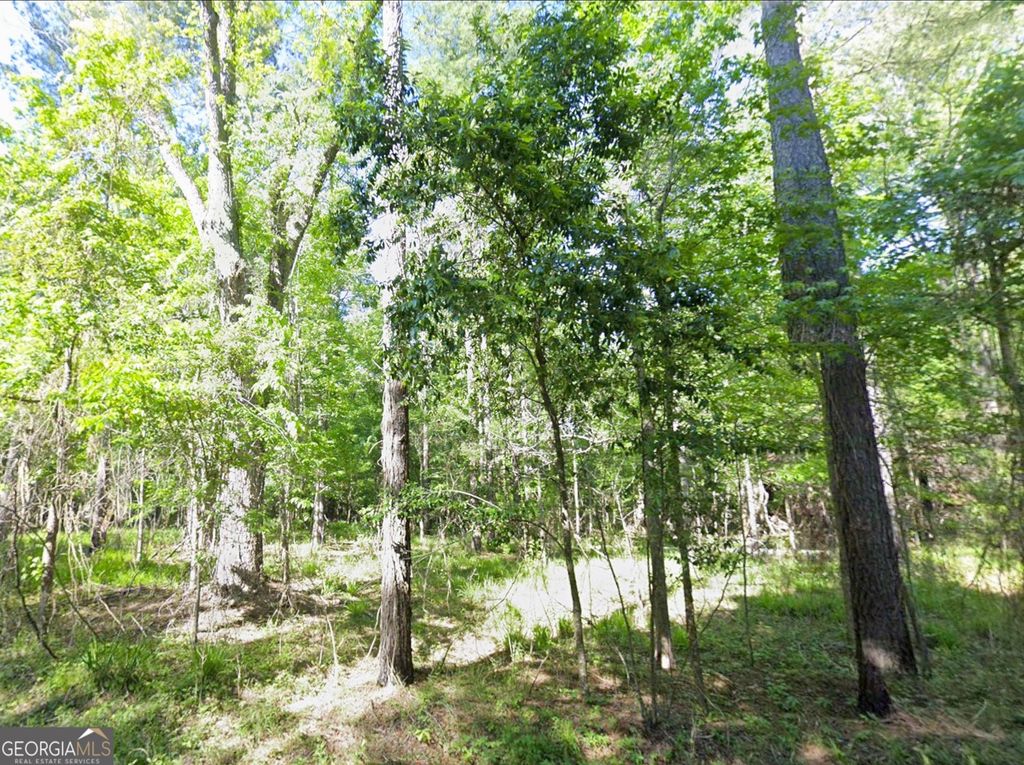 Photo of 0 Lambert Lane, Sylvester, GA 31791 (MLS # 10696640)