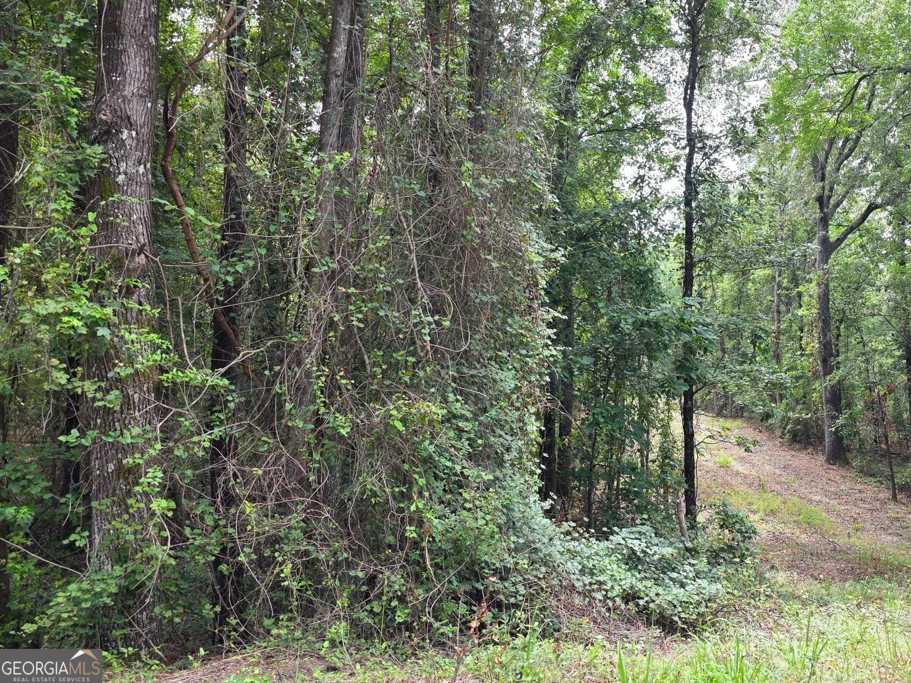 456 Horseshoe CIR