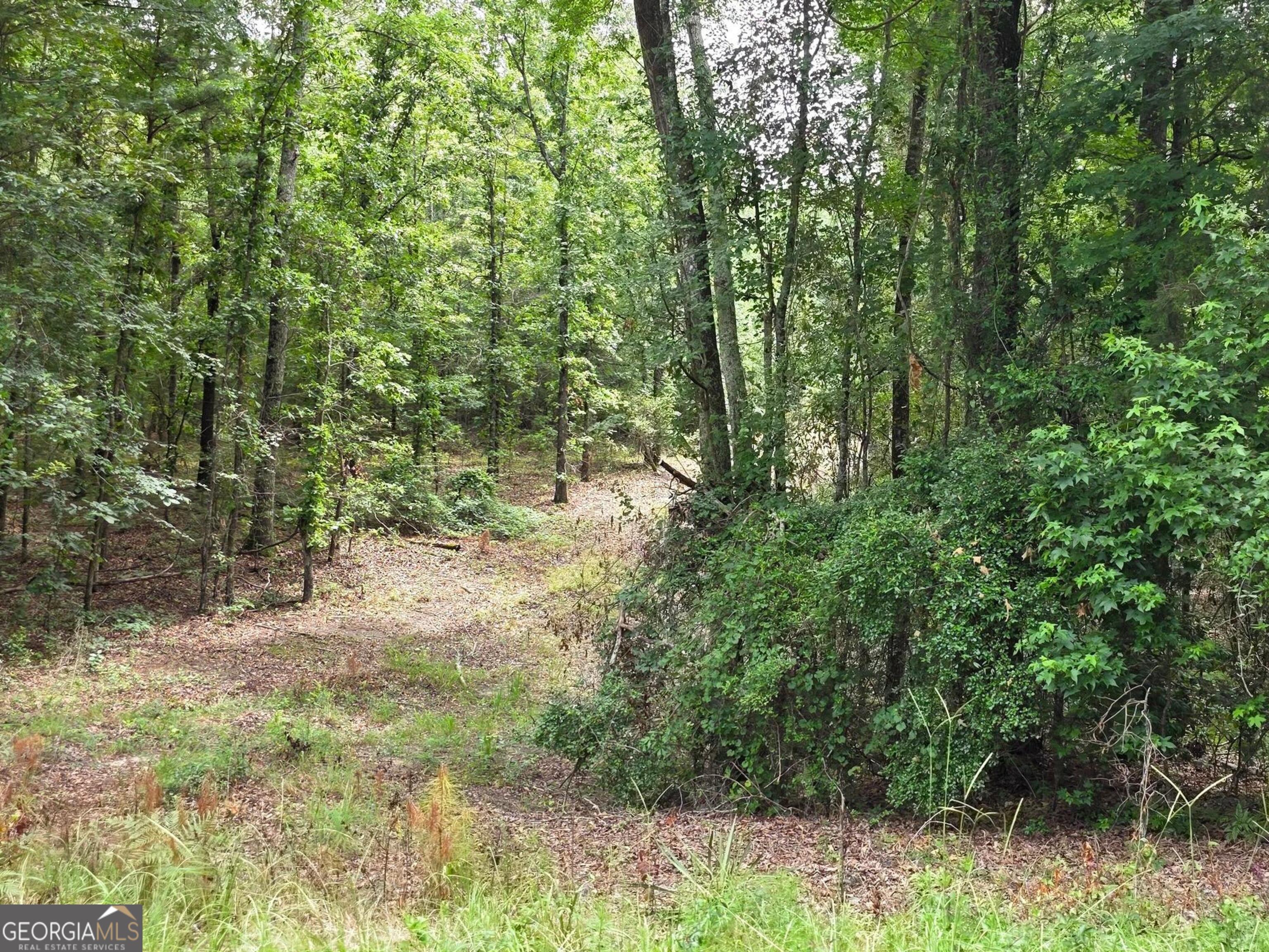 456 Horseshoe CIR
