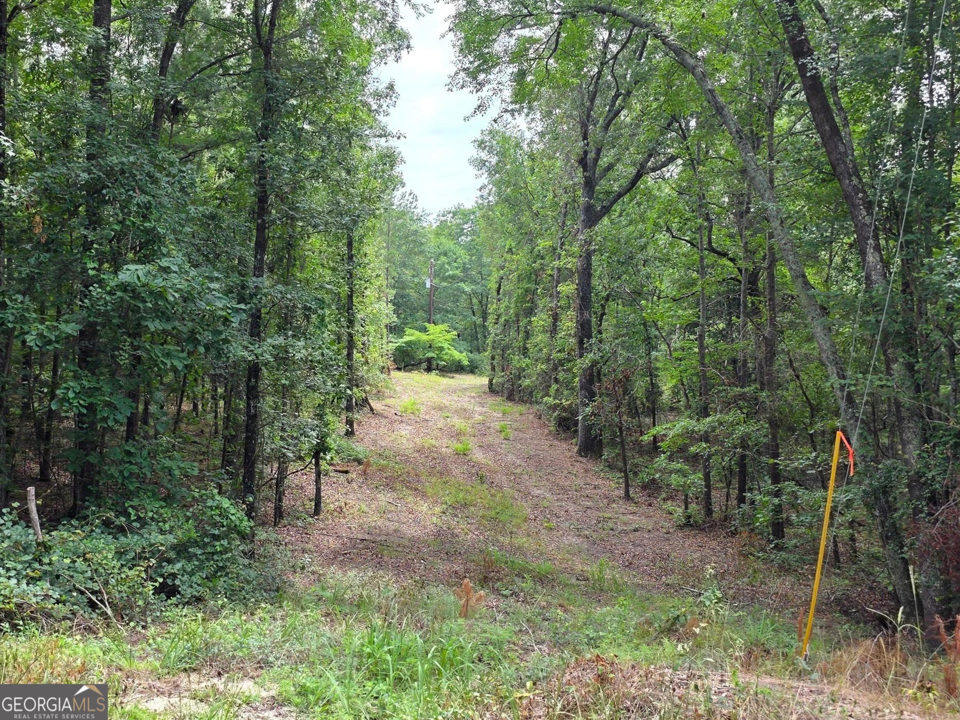 456 Horseshoe CIR