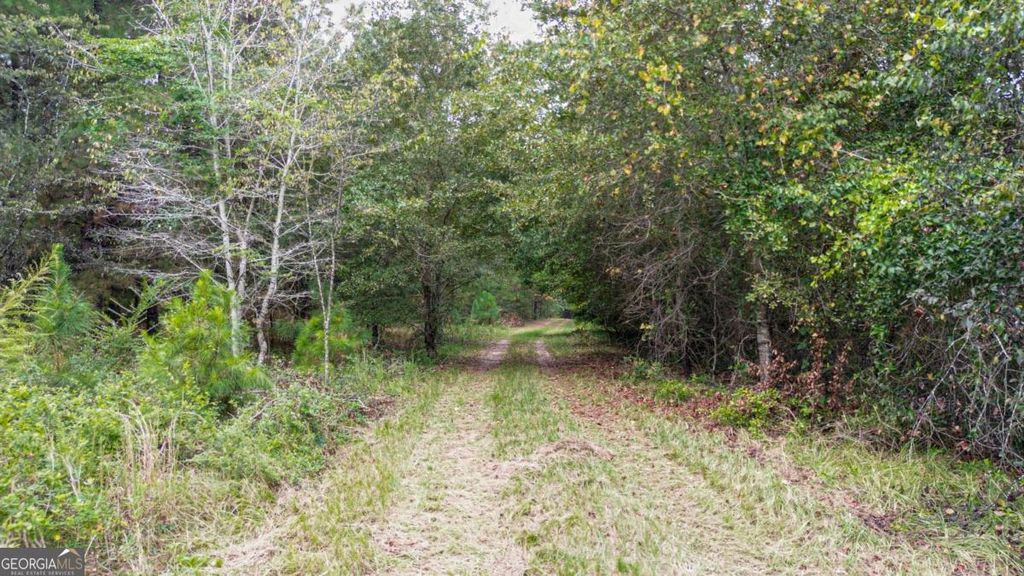 Photo of 0 Willow Creek Drive, Oglethorpe, GA 31068 (MLS # 10764271)