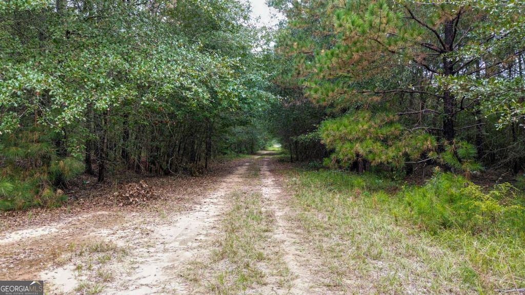 Photo of 0 Willow Creek Drive, Oglethorpe, GA 31068 (MLS # 10764271)