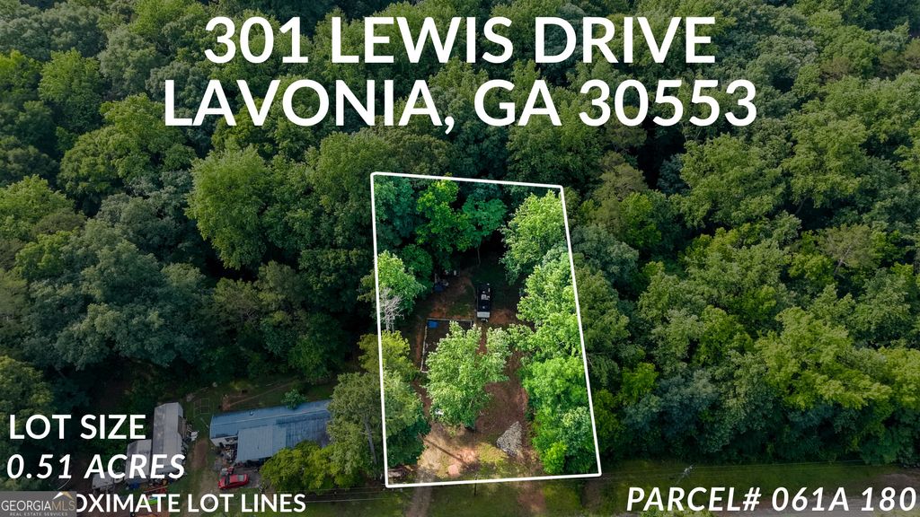 Photo of 301 Lewis Dr, Lavonia, GA 30553 (MLS # 10775223)