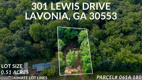 Photo of 301 Lewis Dr, Lavonia, GA 30553 (MLS # 10775223)