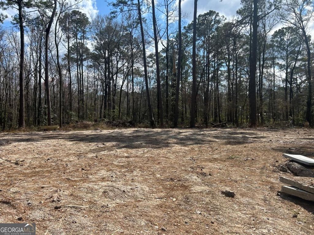 Photo of 0 Little Mccall Road, Rincon, GA 31326 (MLS # 10701740)