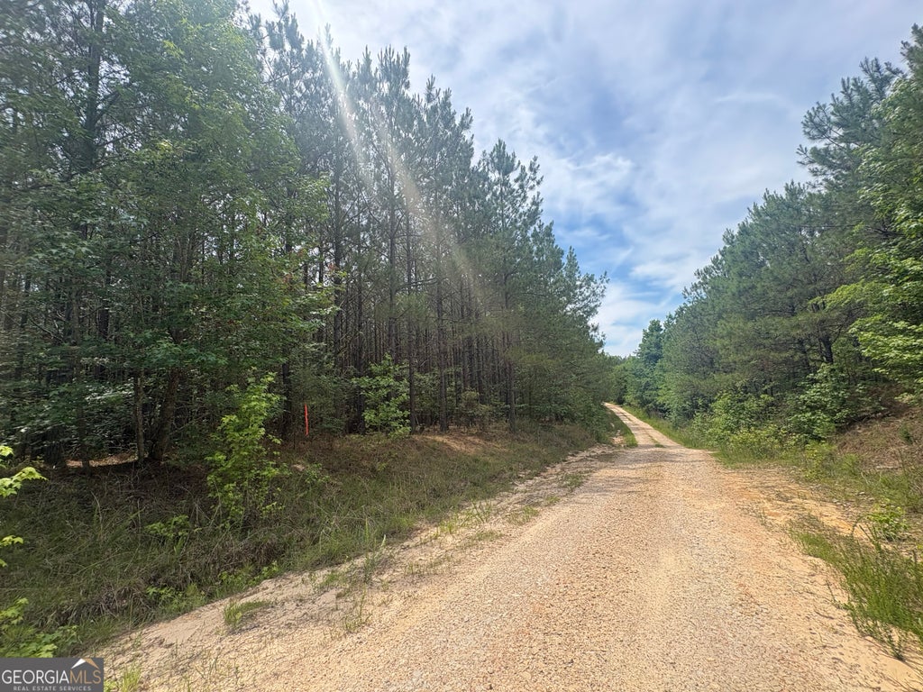 Photo of 4 Callaway Road, tignall, GA 30668 (MLS # 10780807)