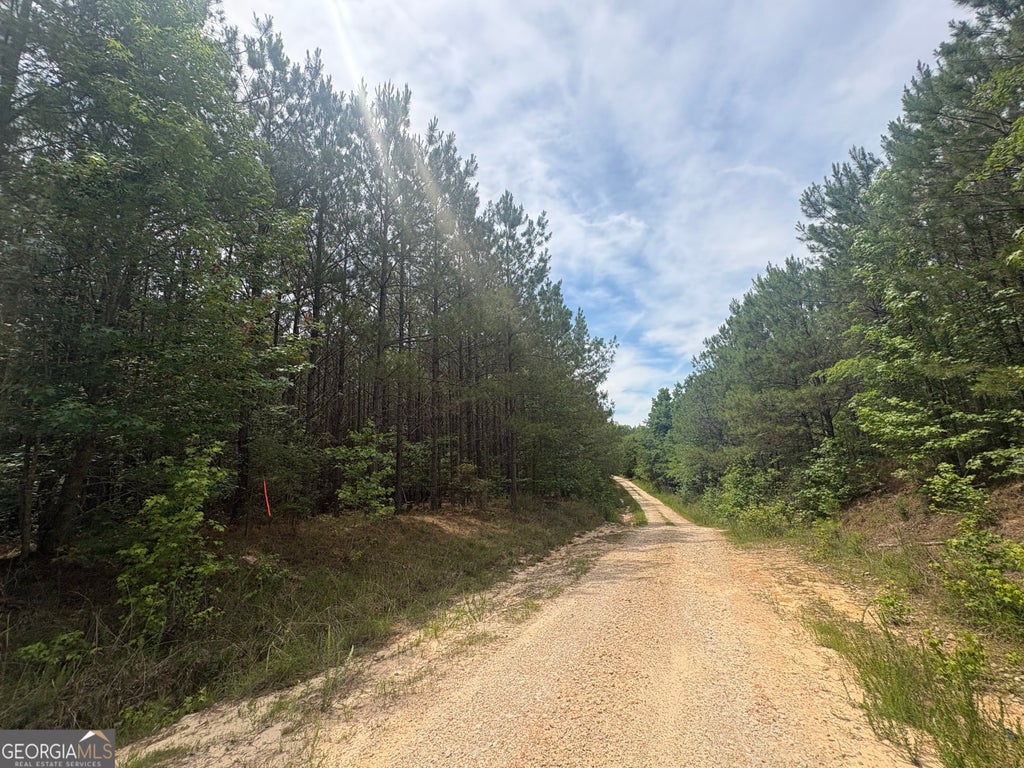 Photo of 4 Callaway Road, tignall, GA 30668 (MLS # 10780807)