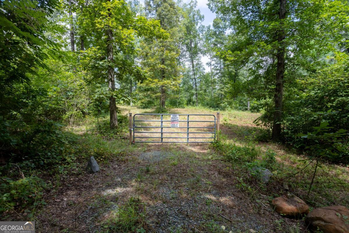 411 Poplar Grove DR