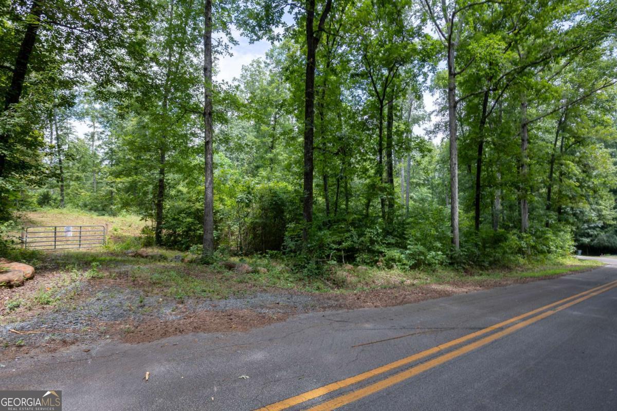 411 Poplar Grove DR