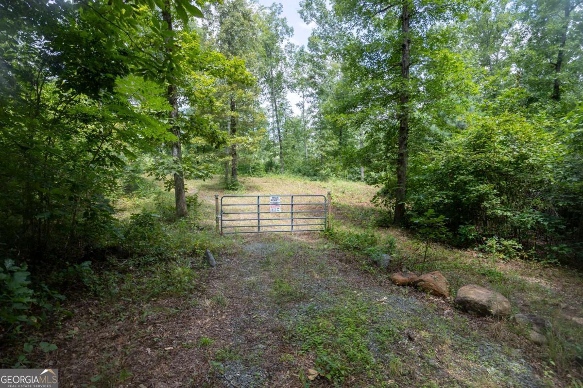 411 Poplar Grove DR