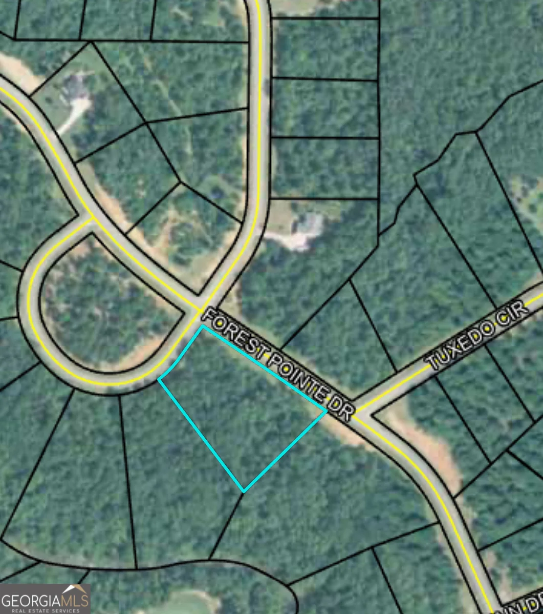 207 Forest Pointe Drive