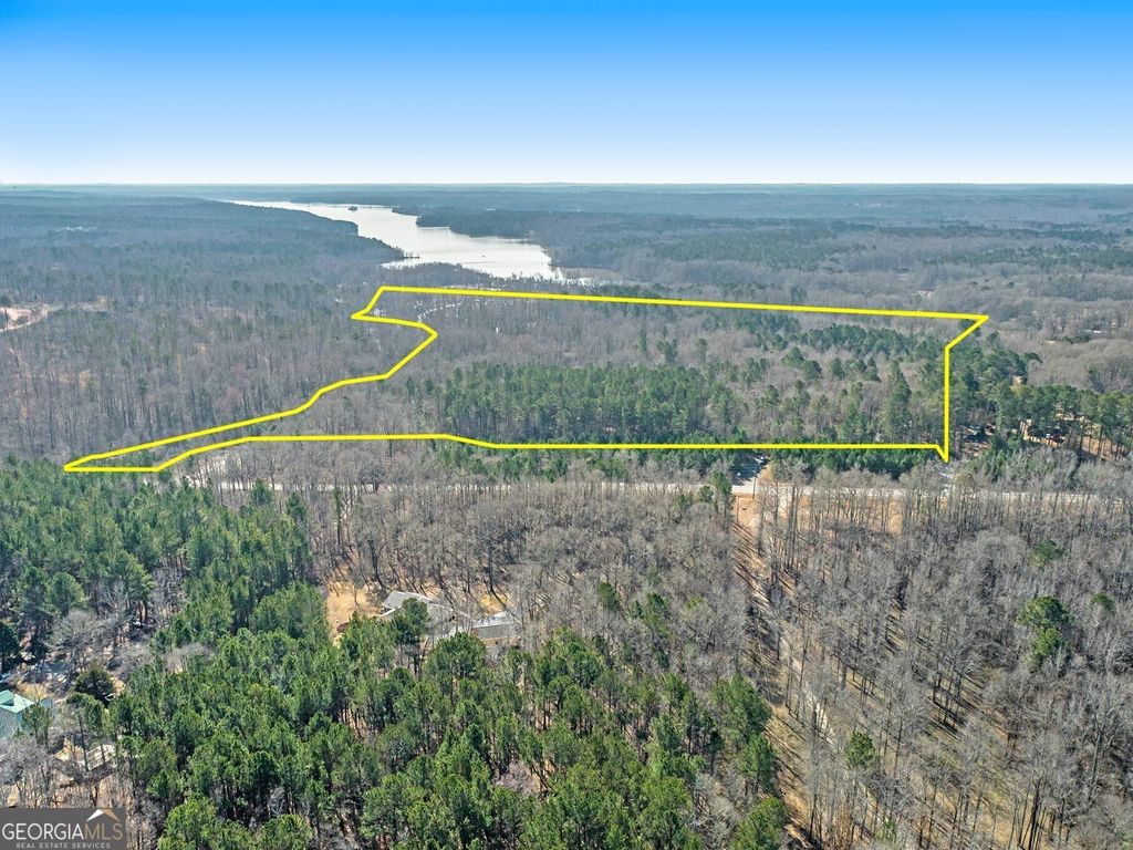 Photo of 0 Hampton Locust Grove Road, Hampton, GA 30228 (MLS # 10730897)