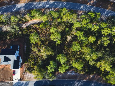 490 Blue Heron TRL Waverly GA 31565