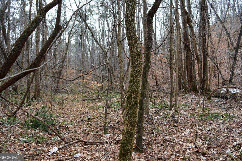 0 Willow Springs RD