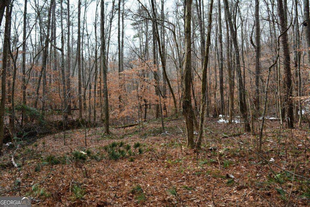 0 Willow Springs RD