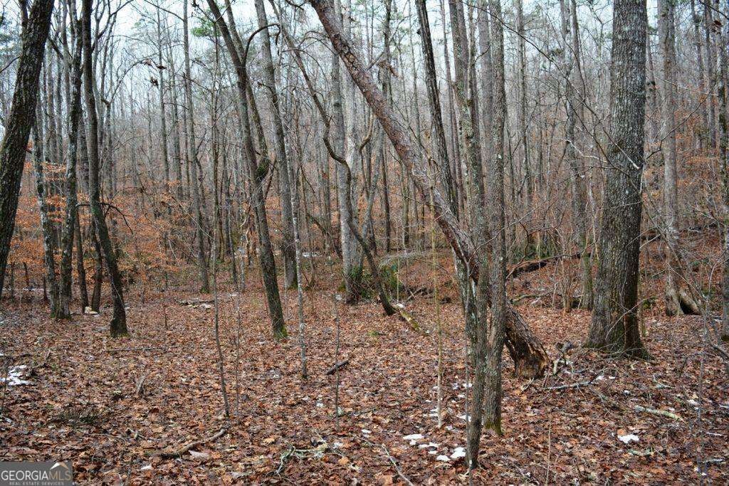 0 Willow Springs RD