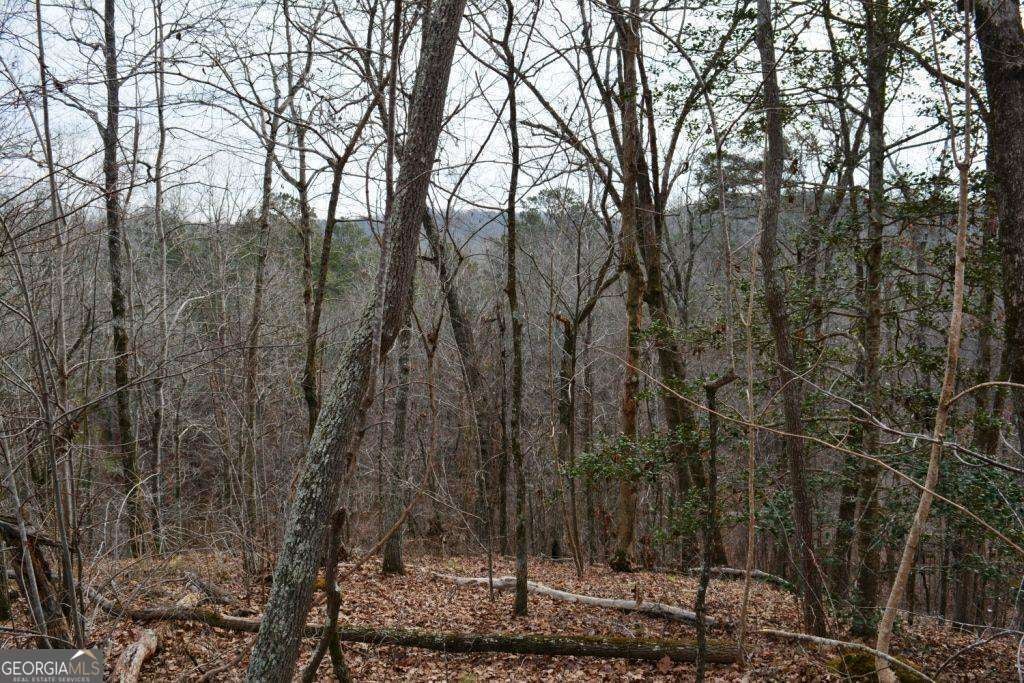 0 Willow Springs RD