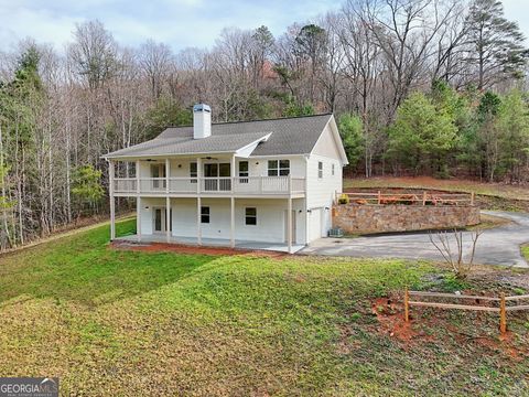 A home in Hiawassee