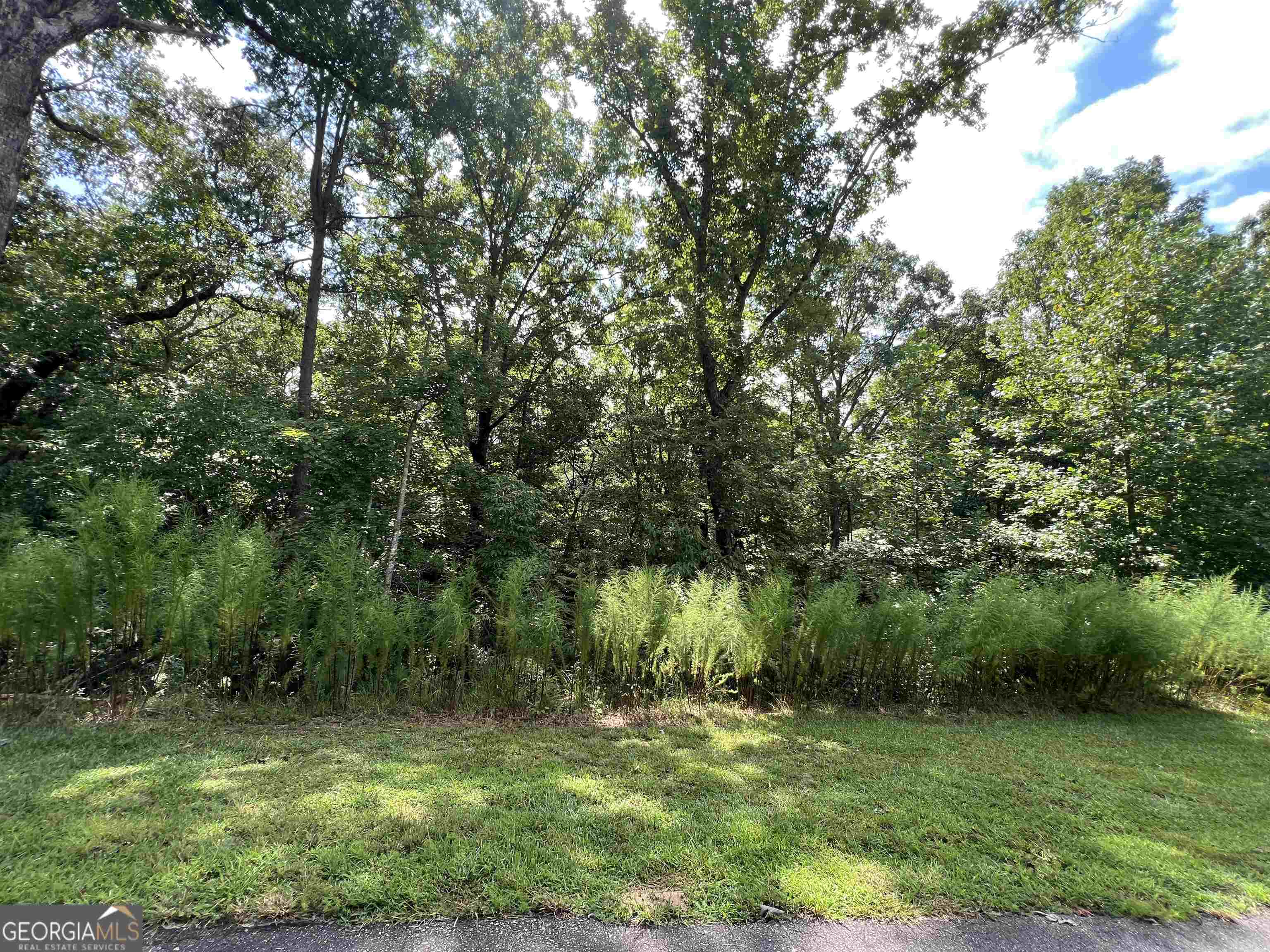 Own a piece of the North GA mountains in the exclusive, gated Lake Laceola. With just over 4 acres, you will be able to build your dream home with views of the Blue Ridge Mountains & Lake Laceola. Lake Laceola offers a lake front club house featuring swimming pool, boat dock and other recreational activities, this will certainly become your Summer getaway location or full time residence! It is a clean slate ready for your building plans.