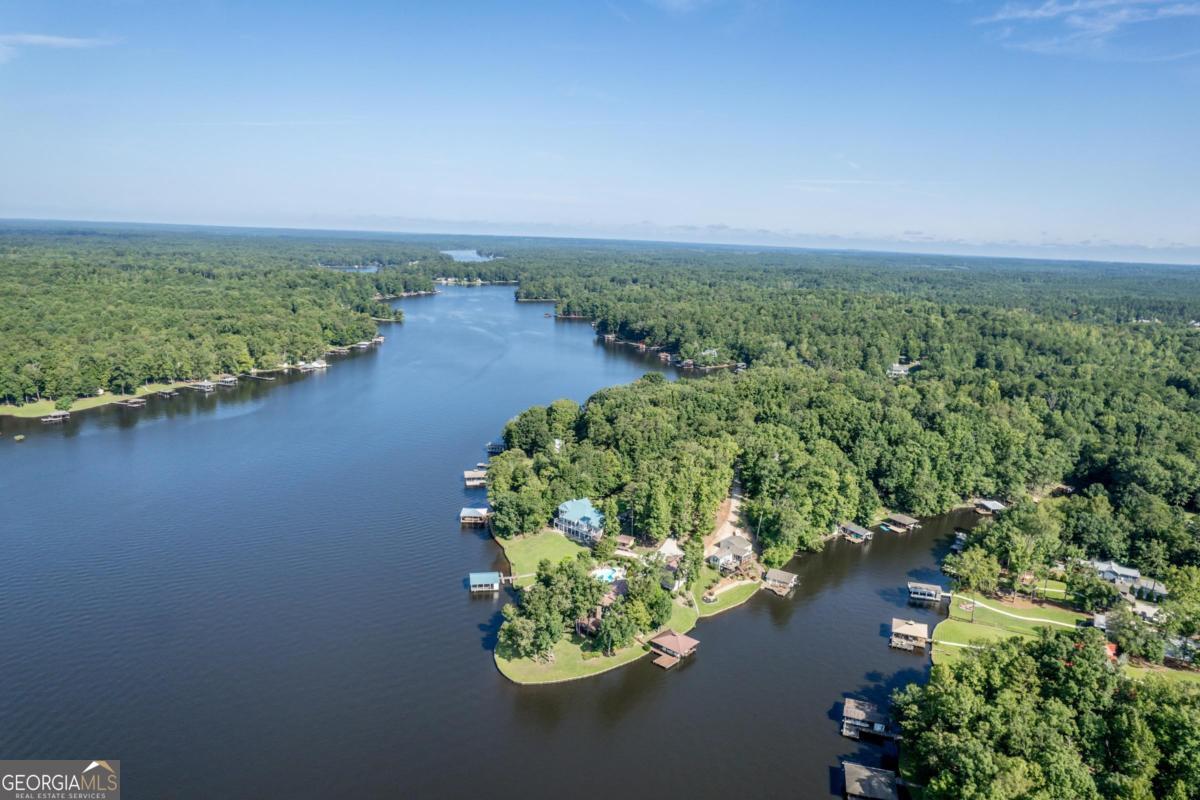 117 Bluegill RUN