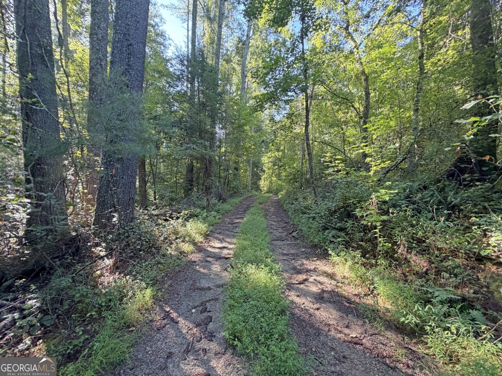 Photo of 505 Hank Fry Road, Clarkesville, GA 30523 (MLS # 10831165)
