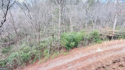 Photo of 8072 Doublehead Gap Road, Blue Ridge, GA 30513 (MLS # 10712627)