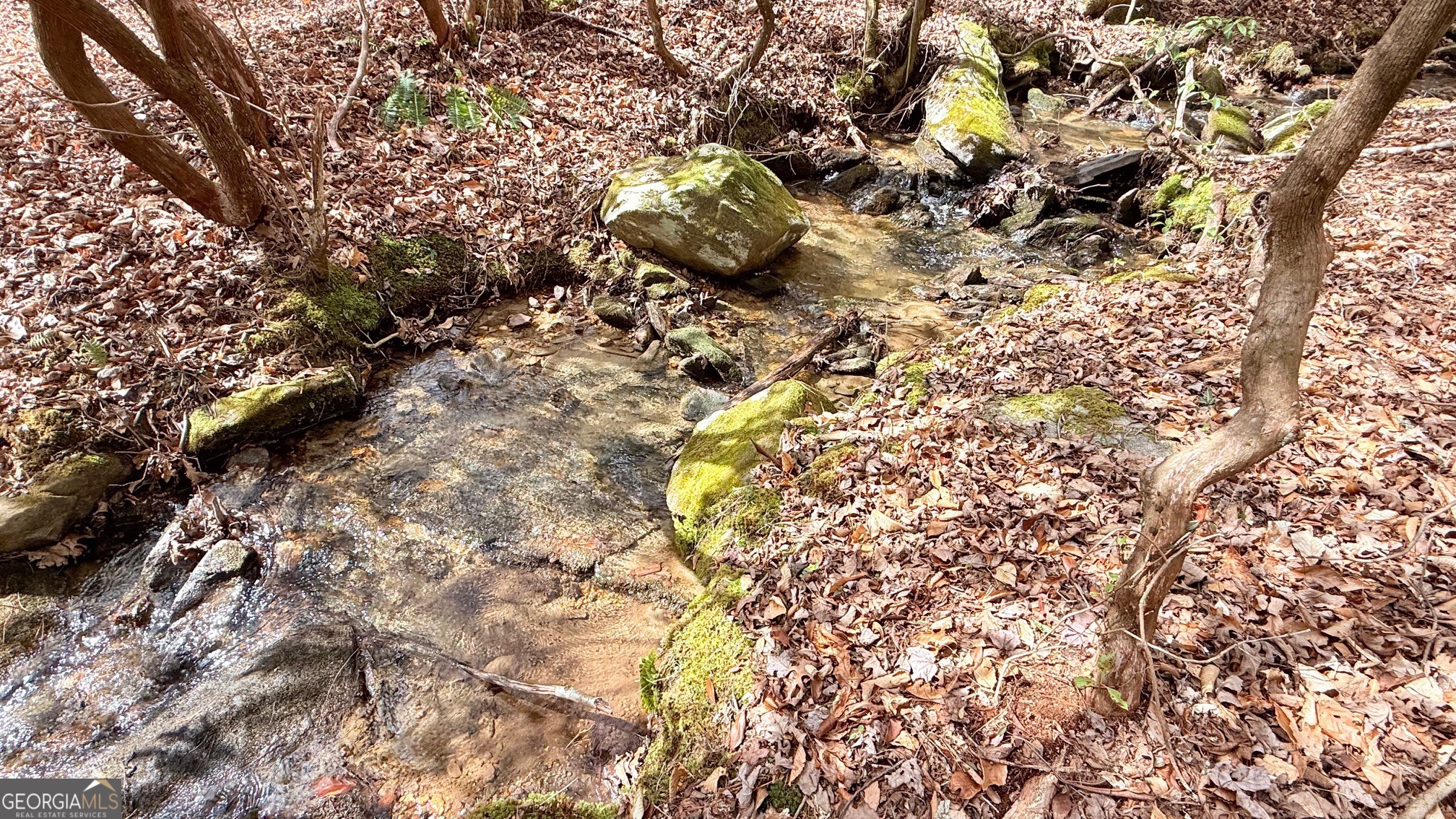 8072 Doublehead Gap RD