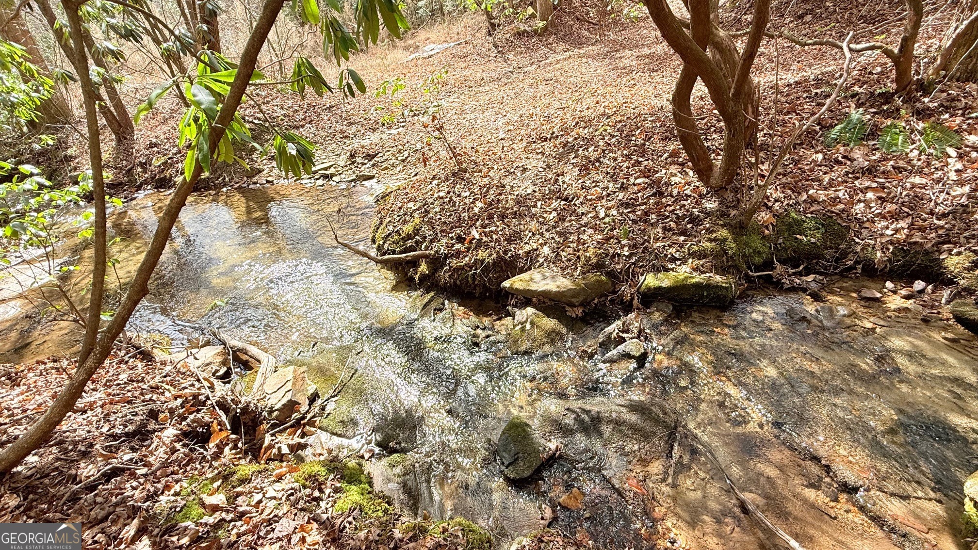 8072 Doublehead Gap RD